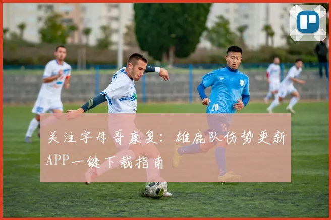关注字母哥康复：雄鹿队伤势更新APP一键下载指南