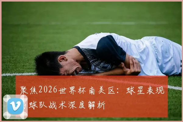 聚焦2026世界杯南美区：球星表现与球队战术深度解析