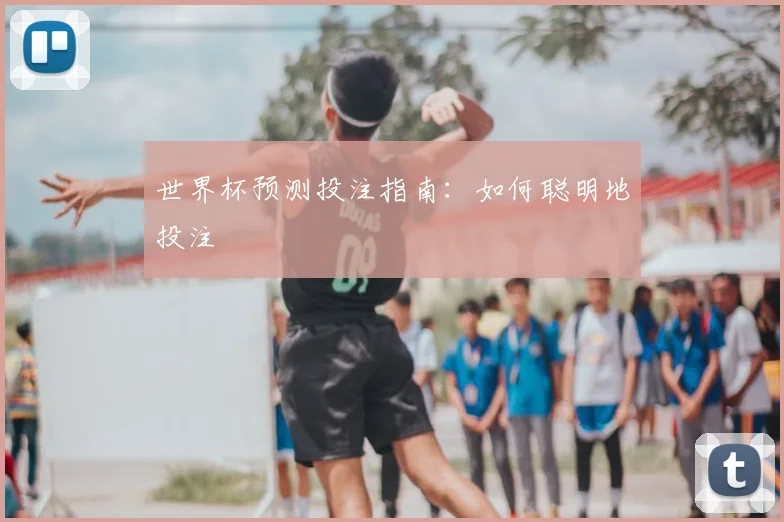 世界杯预测投注指南：如何聪明地投注
