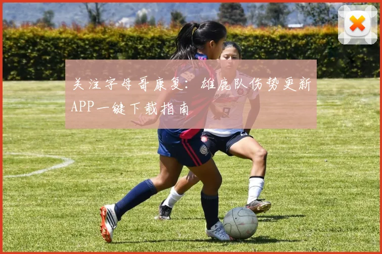 关注字母哥康复：雄鹿队伤势更新APP一键下载指南