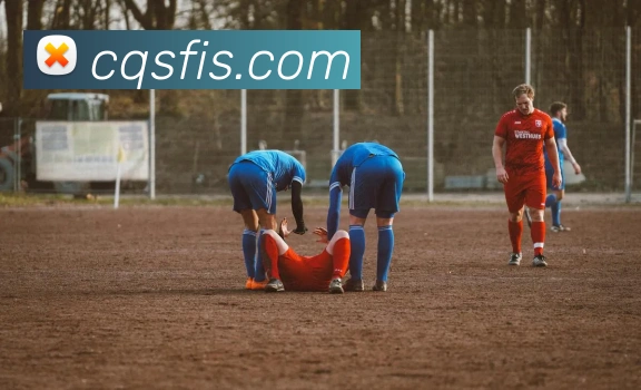 华体会体育官方网站平台生态图